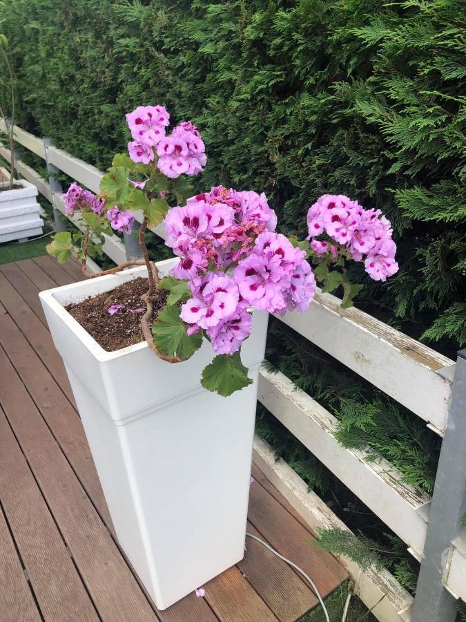 Rezidenca Primavera Durrës
