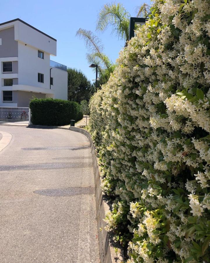 Rezidenca Primavera *