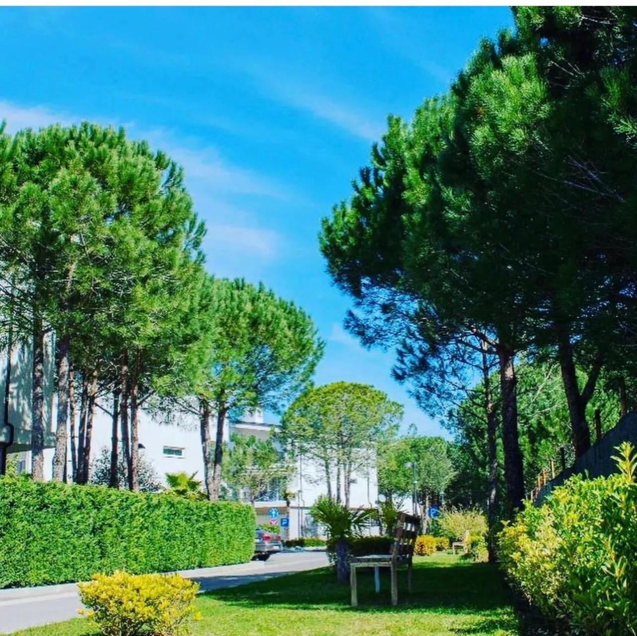 Rezidenca Primavera Apartment *